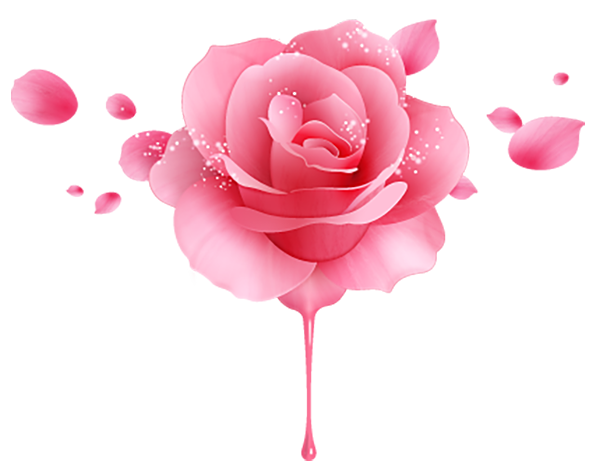 rose-01